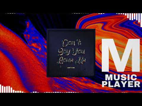 LIZOT & Obs - Don't Say You Love Me