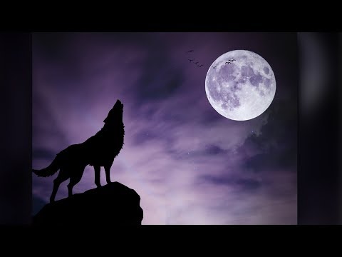 Deer of Sun Photoshop Manipulation Photoshop CC Tutorials