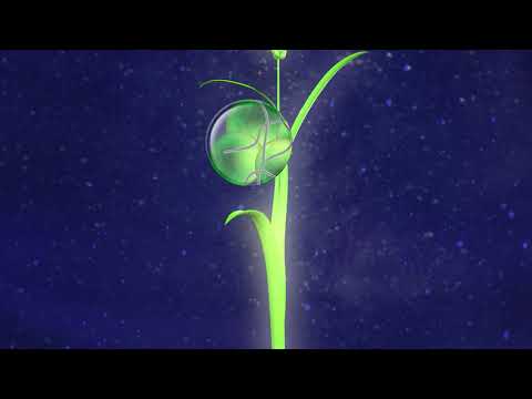 Revystar®️️ Flex