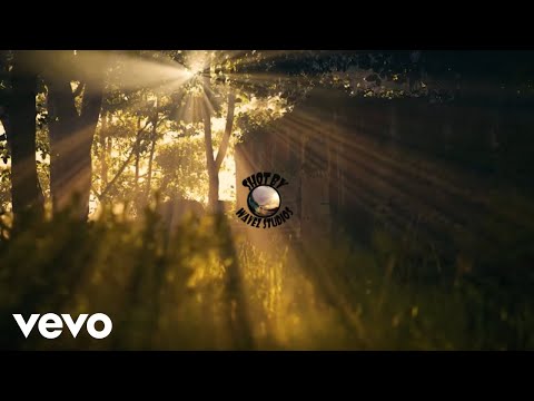 Delomar, Wilful Skilful - High (Official Music Video)