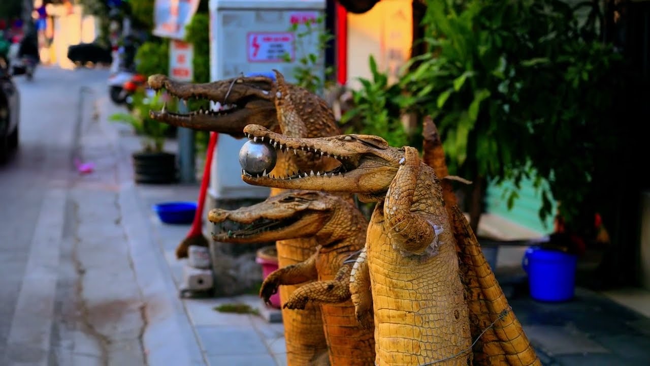 Walking In Hai Phong | Vietnam