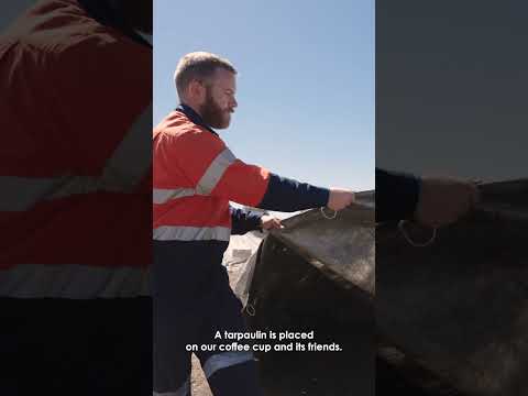 Lifecycle of a coffee cup