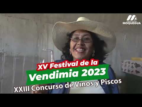 SPOT DE LA XV FESTIVAL DE LA VENDIMIA OMATE 2023