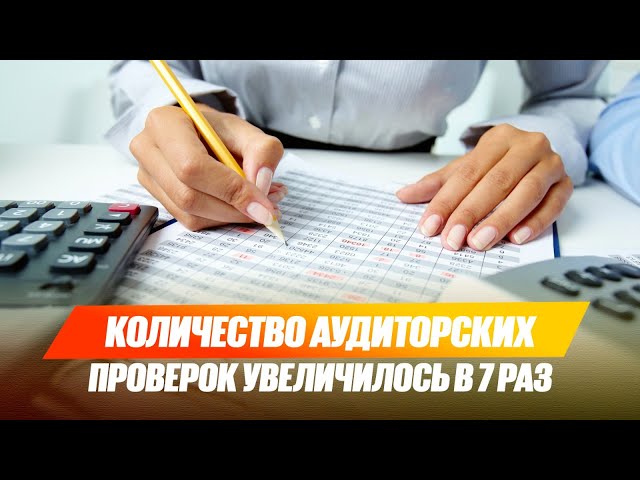 В 7 раз увеличилось количество аудиторских проверок по стране