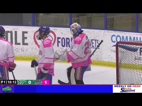 Jamie Goldman Play-by-Play Demo Reel (UF Hockey '24)