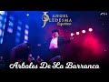 Arboles De La Barranca - El Coyote "José Angel Ledesma"