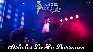 Arboles De La Barranca - El Coyote José Angel Ledesma