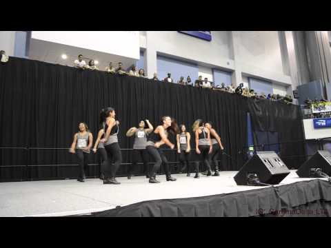 NSU LTA Sharkapalooza 2015