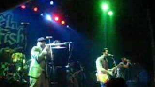 Reel Big Fish @ The new version of you