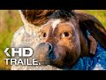 MAGIC ROADS Auf Magischen Wegen Trailer German Deutsch 2021
