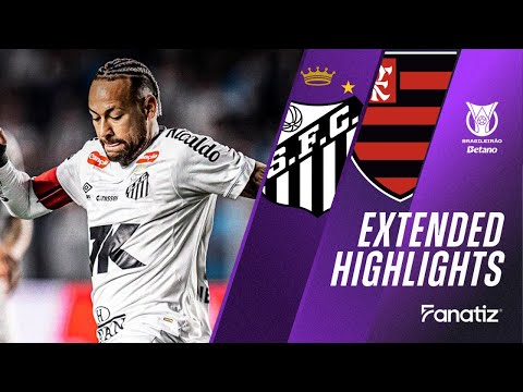 Santos vs. Flamengo 1 -  0 I Game Highlights I Brasileirão 2025