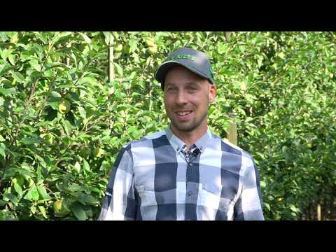 Gospodarstwo ekologiczne Macieja Szwedo, Wiązowna