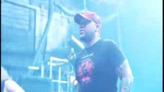 Killswitch Engage - Self Revolution (Live)