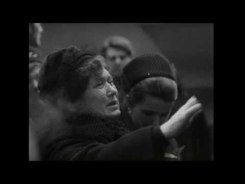 afbeelding No Intenso Agora