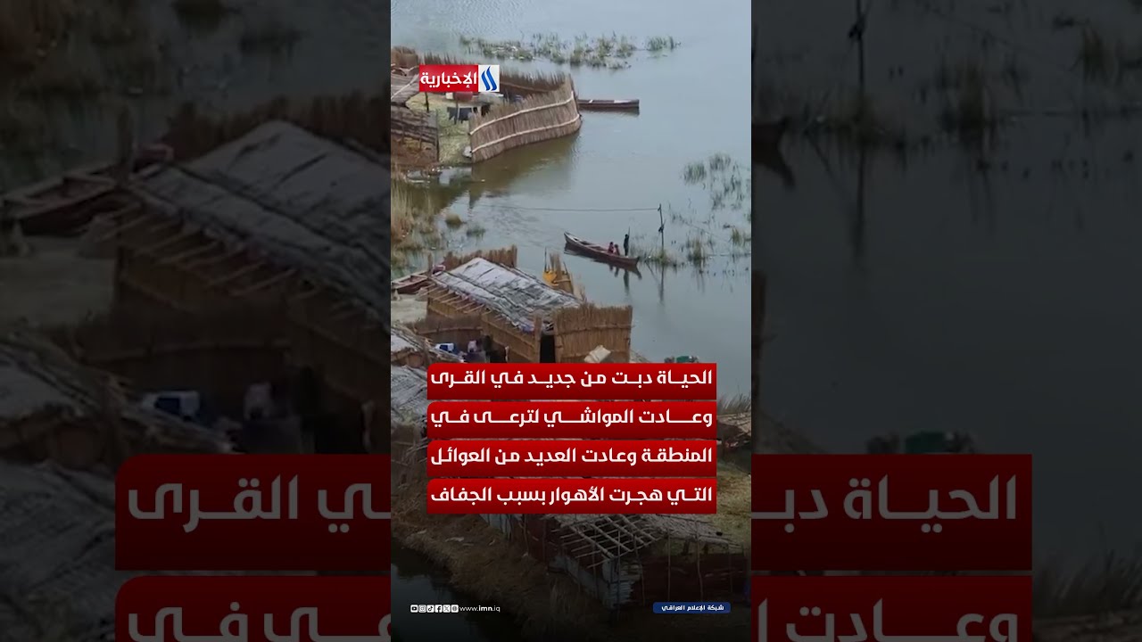 فيديو | من صمت الجفاف إلى نشيد الماء.. الحياة عادت للهور