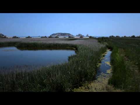 download lagu mp3 mp4 Montgr Medes Islands And Baix Ter Natural Park, download lagu Montgr Medes Islands And Baix Ter Natural Park gratis, unduh video klip Montgr Medes Islands And Baix Ter Natural Park