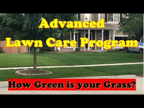 Complete Lawn Care Program | Best Lawn Care Schedule for ADVANCED (Lawn Care Timing) Video