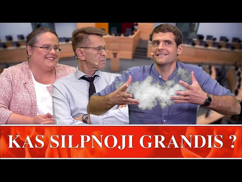 OPOZICIJA - KAS SILPNOJI GRANDIS ?