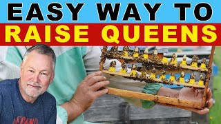 Beekeeping | An Easier Way To Raise Queens In One Hive