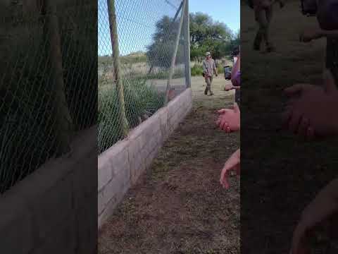 #paisajes #vacaciones la florida san Luis #argentina