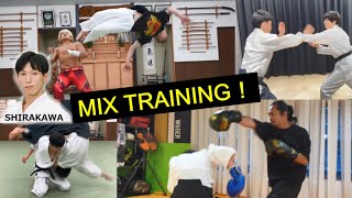 Mix Training - Aikido Master Ryuji Shirakawa
