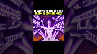 🔥미친 작화🔥 로빈이 붙잡혀버린 이유! #원피스 #onepiece
