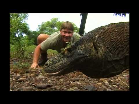 The Crocodile Hunter - Best Of Steve Irwin - S03 E05
