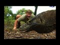The Crocodile Hunter Best Of Steve Irwin S03 E05