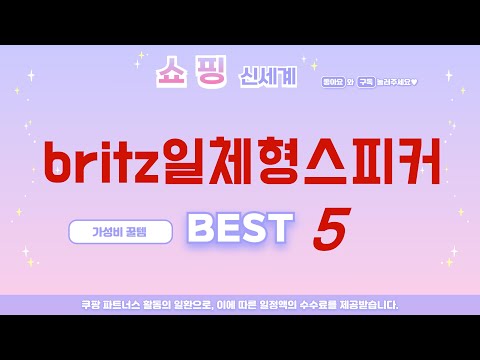 britz일체형스피커 필수 구매 추천 TOP5