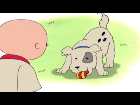 Kajtus po polsku nowe odcinki | Czas zabawy z psem i Kajtus | Nowy specjalny odcinek Kajtusia