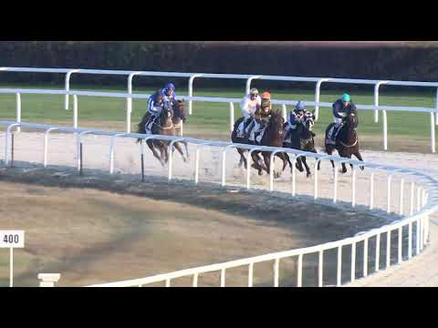 2019.11.24. 09. futam - VISZONTLÁTÁSRA HENDIKEP (V.o.) (szintetikus pálya)