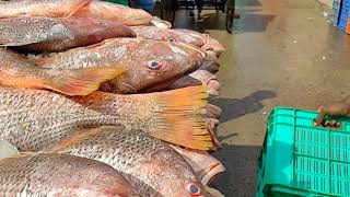 Seafood Business | Fish Packaging | Fish Export | Fish Wholesale