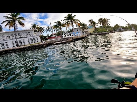 Florida Keys Dock & Flats Fishing - Toothy Critters, BIG Bites & Windy Days!
