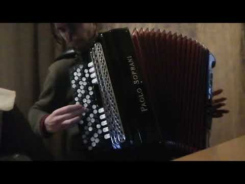 Paolo Soprani Professional Cassotto (4/5 reeds, double tone chamber) accordion
