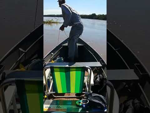 O PERIGO ESTAVA BEM ALI, ESPERANDO PARA TIRAR NOSSAS VIDAS #pescaesportiva #rioparana #perigos