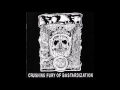 P L F Crushing Fury Of Bastardization 2008 Full Album HQ Grindcore
