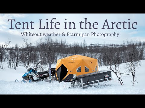 Tent Life & Ptarmigan Photography – One Night in the Arctic | Solo Camping & Wildlife Adventure