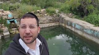 ליד שכונת קציני הרשות הפלסטינית הנטושה | מעין עמוק + כביש גישה חדש - מעיין חרשה המחודש!