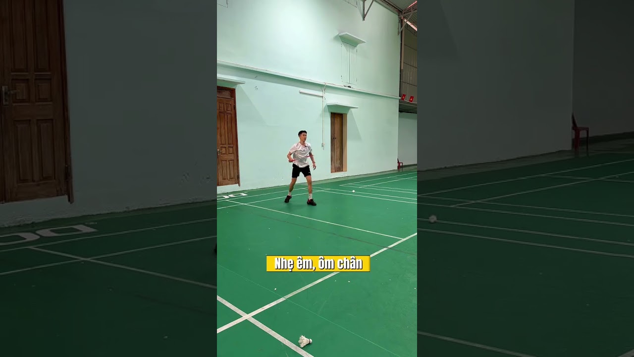 Giày cầu lông Apavi ACE
