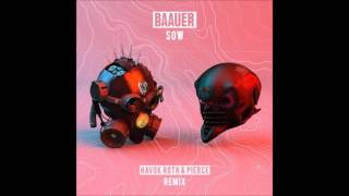 Baauer - Sow (Havok Roth & Pierce Remix)