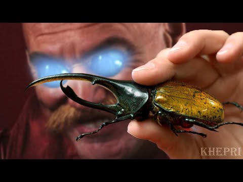 Khepri FULL DAMAGE Mains In a Nutshell - Smite (Khepri.exe)