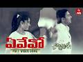 Evevo Kalalu Video Song Nachavule Full Song Tanish Maadhavi Latha ETV Win