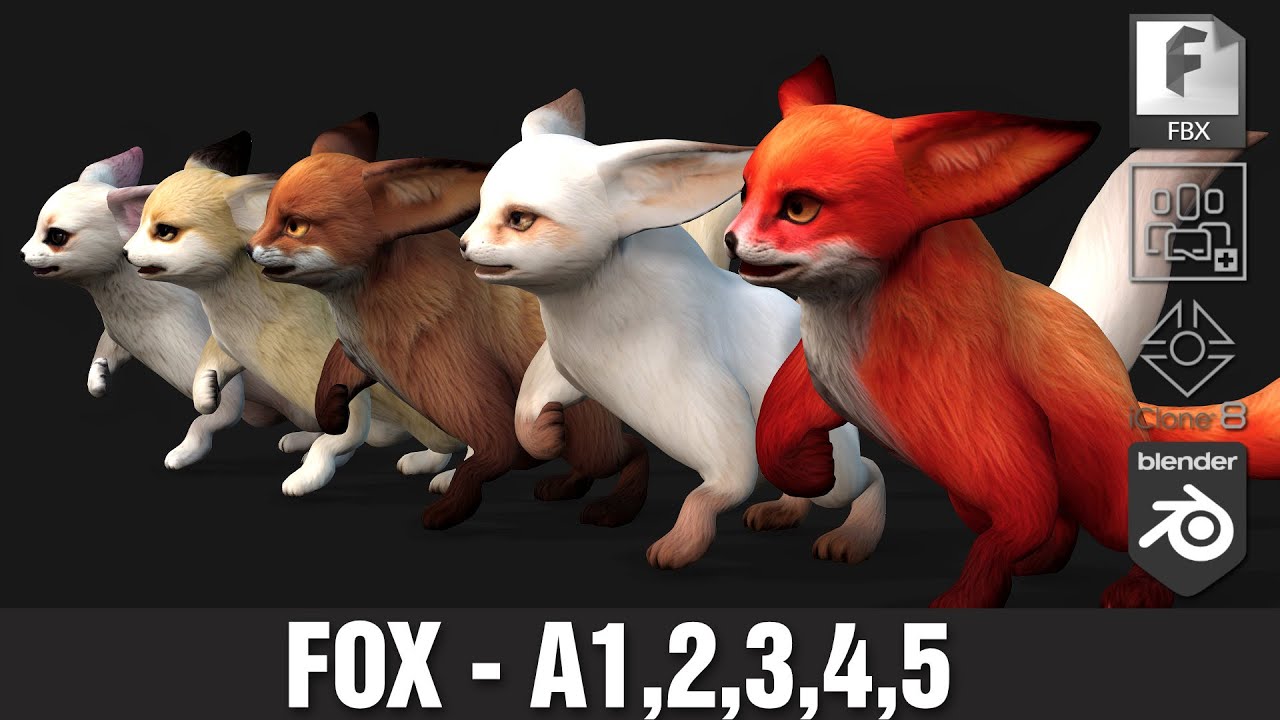 ФоксА4 3D Модель