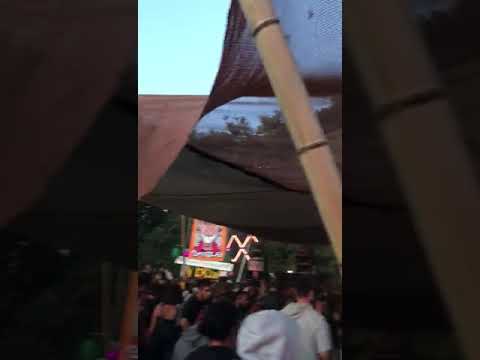 C2 CRONIK LIVE BORDELL 23