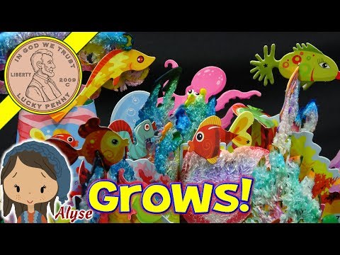 Color Bloomz Mega Pack Magically Growing Crystals - Crafting With Alyse - Time Lapse Bonus! Video