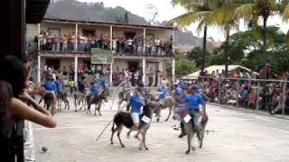 preview picture of video 'Yuscaran Polo en Burro 1'