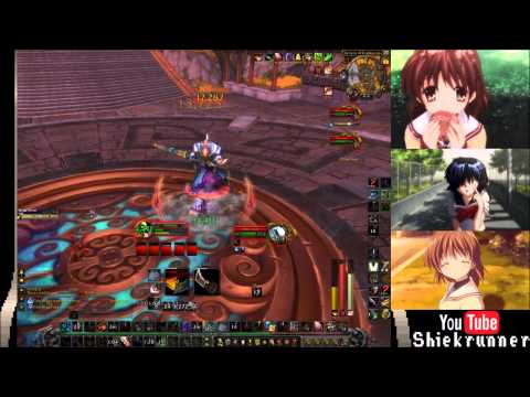 Rogue Solo ToES Protectors 1/4