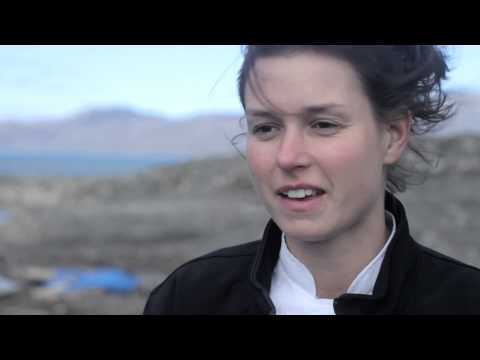 Polar Bears and Glaciers of Baffin Islan