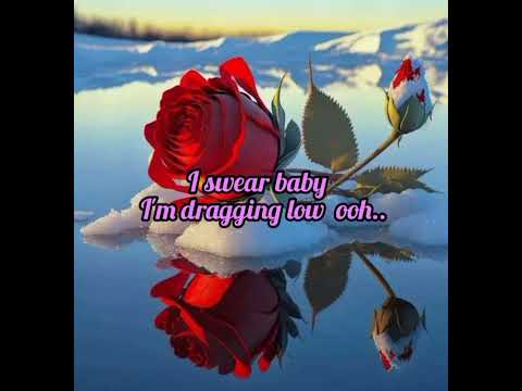Mocco Genius Yamenishika (lyrics video)