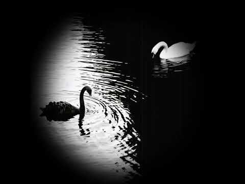 FREE - Type Beat | Detroit, Selug x Luther ~ Elle